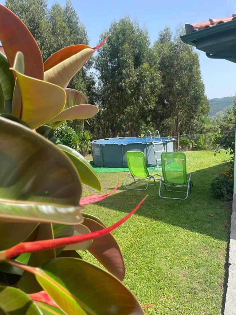 Casa Cataleia Villa Inn Ponte de Lima Ngoại thất bức ảnh